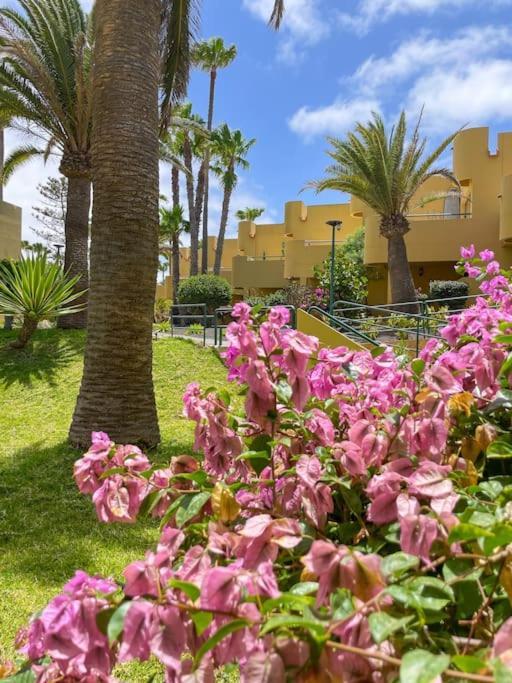 Apartamento B-rent Atlantic Garden Sunbeach